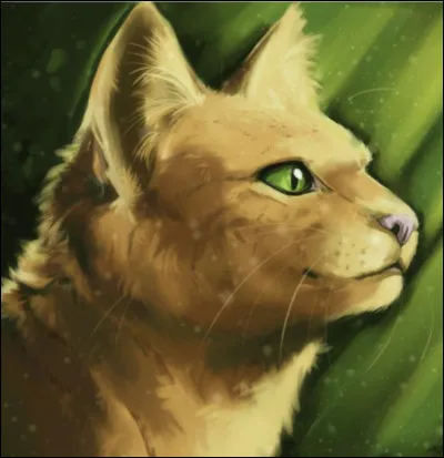 Quelle est l'attitude de Tempête de Sable envers Étoile de Feu au début du cycle ?