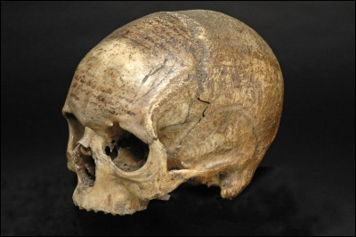 De combien d'os la boite crânienne est-elle composée, sans compter ceux de la face s'entend ?