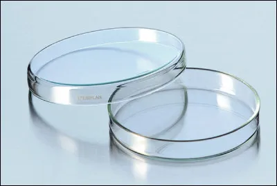 Quel est le nom de cette boite de microbiologie ?