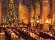 Quiz Quiz de Nol Harry Potter