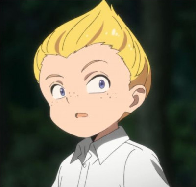 Quel est le matricule de Lannion ?