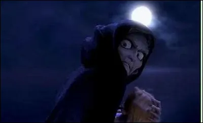 À la fin du dessin animé "Raiponce" la mère Gothel...