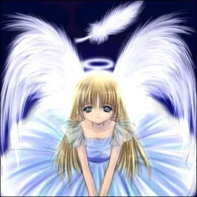 Quelle est ta qualité ?