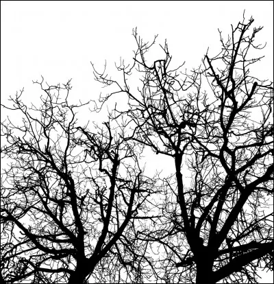 Commune du département de l'Yonne, située près d'Auxerre :