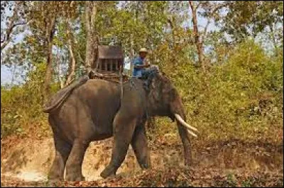 Commune du département du Lot, située près de Saint-Céré :