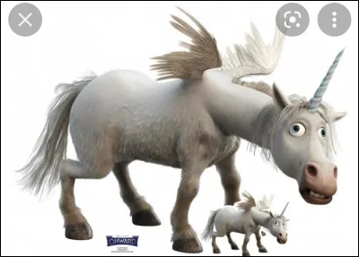 Les licornes volent-elles ?