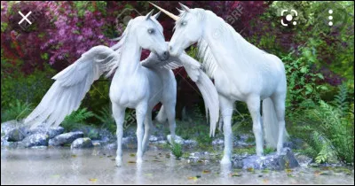 Qu'est-ce qu'une licorne Pégase ?