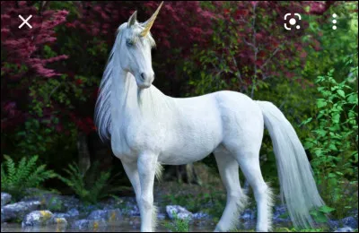 Les licornes existent-elles ?