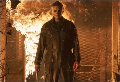 Au début du film, lesquels sont tués violemment par Michael Myers ?