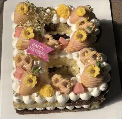 Comment se nomme cette pièce de buf qui comprend le contre filet et le filet réunis ?