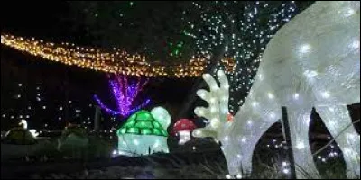 Nous retournons en région PA.C.A, pour voir ces illuminations à Saint-Michel-l'Observatoire. Village de l'arrondissement de Forcalquier, il se trouve dans le département ...