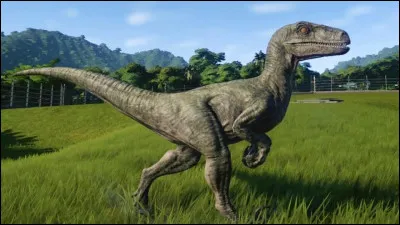 Est-ce que je suis un Vélociraptor sur cette photo ?