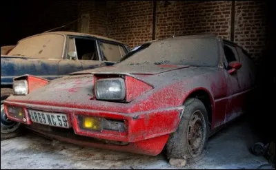 Quelle est cette grenouille rouge oubliée dans ce garage ?