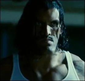 Qui incarne Turley ?