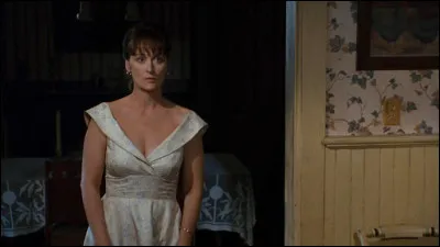 Dans quel film Meryl Streep est-elle une femme vivant une brève mais intension passion avec un homme de passage ?