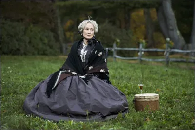 Dans quel film Meryl Streep est-elle la tante de 4 jeunes femmes ?