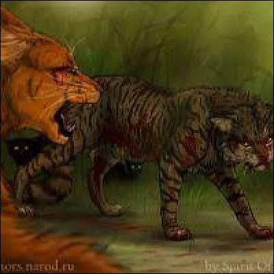 Qui sont les victimes de la Grande Bataille ?