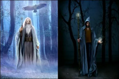 Tu préfères porter :