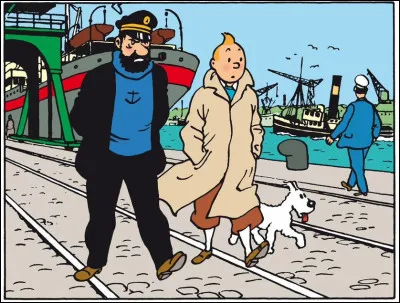 Dans quel pays se rend Tintin dans l'une de ses aventures ?