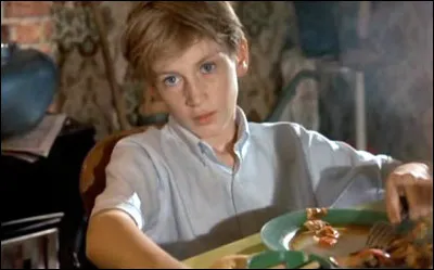 Dans quel film Beno&icirc;t Magimel est-il un enfant qui, &agrave; la naissance, a &eacute;t&eacute; confi&eacute; &agrave; une autre famille que la sienne ?