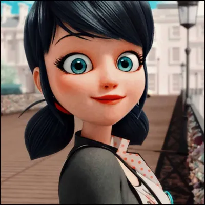 Quel est le nom de famille de Marinette ?