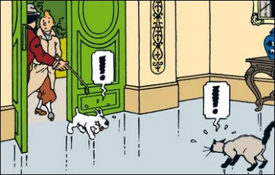 Dans quel album de Tintin est extraite cette vignette avec le chat de Moulinsart représenté ?