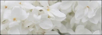 Quelle est cette couleur ?