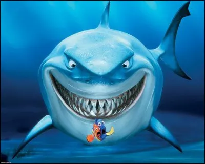 Es-tu une prédateur ou une proie ?