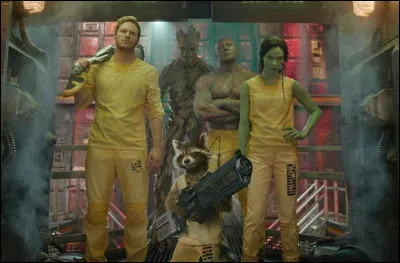 Quel gardien préfères-tu ?