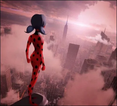 Dans quelle ville la classe de Marinette n'est-elle jamais allée ?