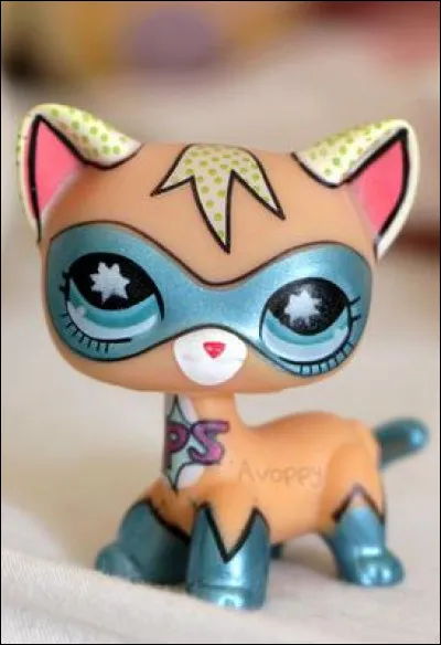 Ce PetShop est un...