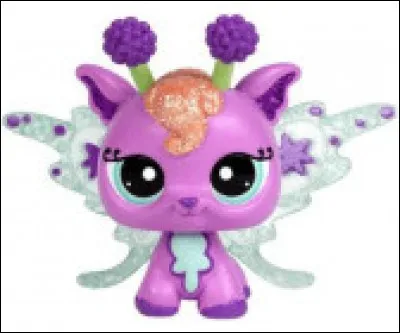 Ce PetShop est un...