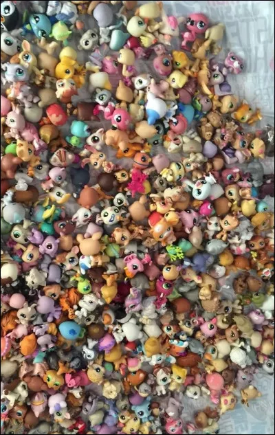 Quelle est la race du premier PetShop ?