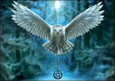 Qu'aimerais-tu avoir à ton anniversaire ?