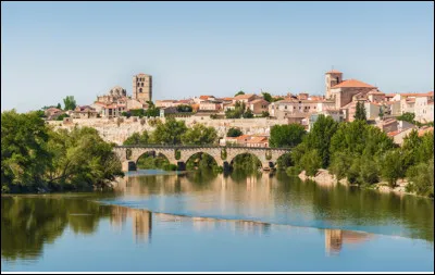 Quelle est cette ville d'Espagne, capitale de la province du même nom, située sur le fleuve Douro, célèbre pour sa cathédrale de 1151 à coupole byzantine ?