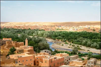 Quelle est cette ville du sud du Maroc dotée de la plus grande palmeraie de la région du Drâa, célèbre pour ses ksours et ses kasbahs ?