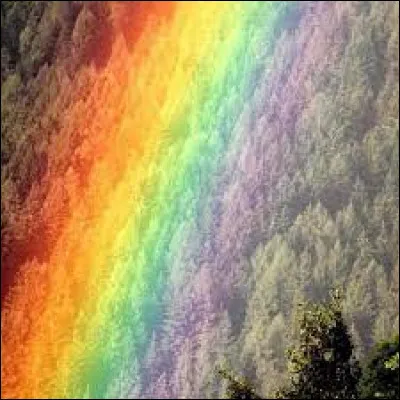 Ta couleur préférée est :