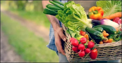 Lors d'un régime méditerranéen, ce sont les produits frais et de saison qui sont privilégiés.