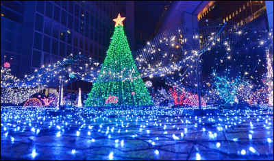 Par qui a-t-il été tué ?