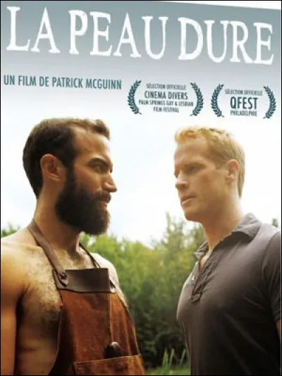 À quel chanteur faut-il attribuer la chanson "La Peau dure" ?