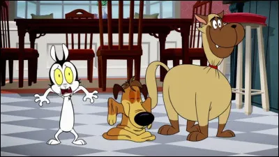 Qui a écrit "La Peau sur les os" ?