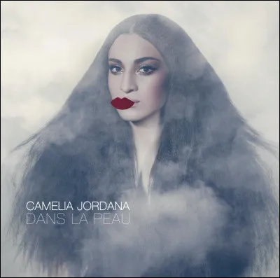 À quel groupe faut-il attribuer le titre "Dans la peau" ?