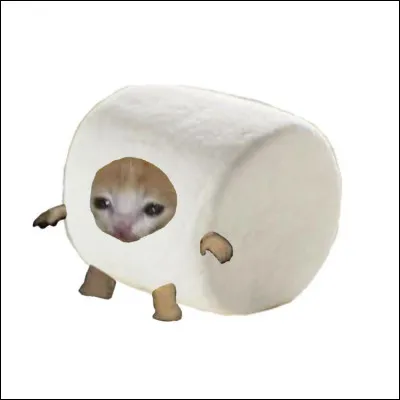 Parmi ces couleurs laquelle est ta préférée ?