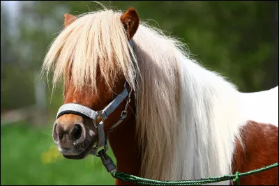 Ton prénom commence par