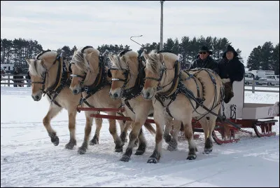 Aimes-tu la compétition ?