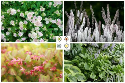 Quelle est ta saison préférée ?