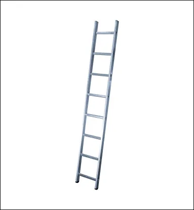 Sur une échelle de 8 en intelligence, tu serais :