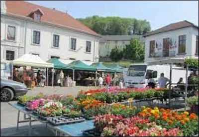 Je vous emmène en Auvergne-Rhône-Alpes, à La Motte-d'Aveillans. Commune de l'aire d'attraction Grenobloise, dans la région naturelle de la Matheysine, elle se situe dans le département ...