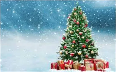 Question la plus importante de ce test : aimes-tu Noël ?