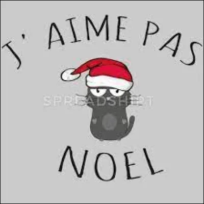 Si tu as répondu ''Pas du tout'' à la question 4, pour quelle raison n'aimes-tu pas Noël ?